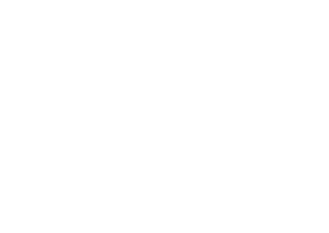The Marketing Collective Marijke Timmers