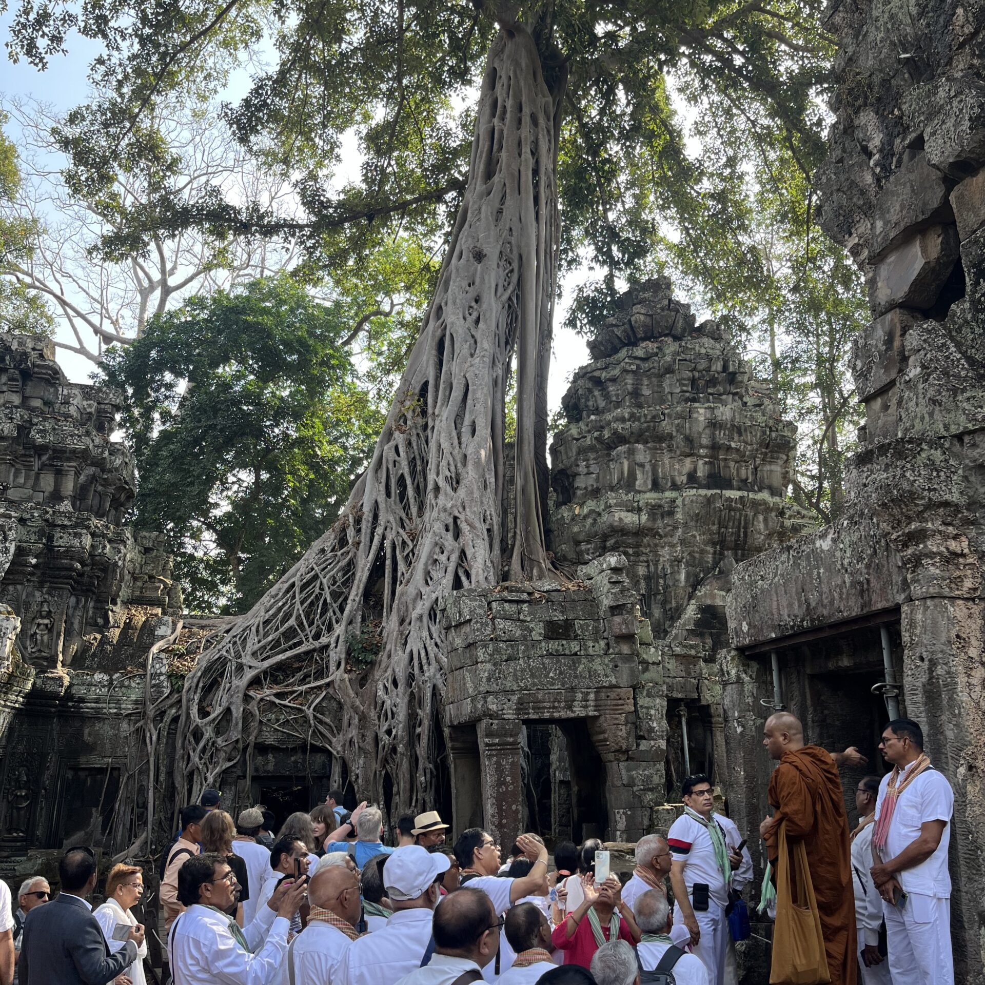 Ta Prohm Explore the Angkor Temples